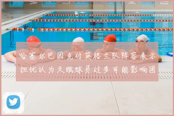 哈塞尔巴因克对英格兰队阵容表示担忧认为天赋球员过多可能影响团队合作