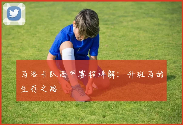 马洛卡队西甲赛程详解:升班马的生存之路