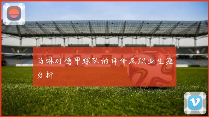 马琳对德甲球队的评价及职业生涯分析