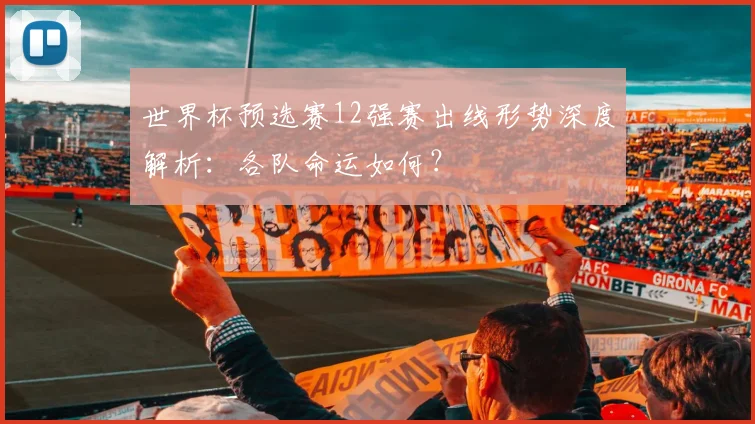 世界杯预选赛12强赛出线形势深度解析:各队命运如何?