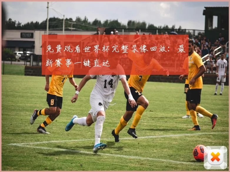 免费观看世界杯完整录像回放:最新赛事一键直达