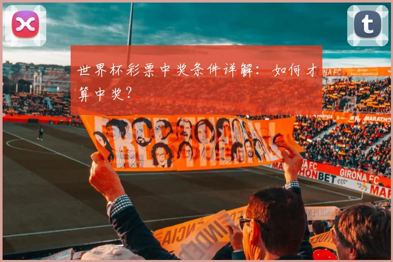 世界杯彩票中奖条件详解：如何才算中奖？