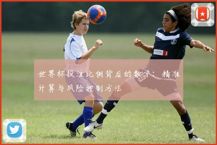 世界杯投注比例背后的数学：精准计算与风险控制方法