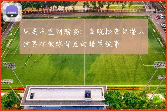 从更衣室到赌场:高晓松带你潜入世界杯假球背后的暗黑故事