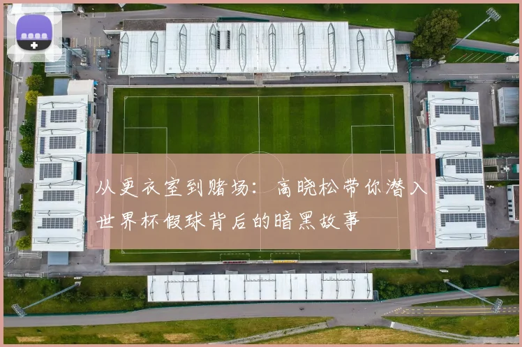 从更衣室到赌场:高晓松带你潜入世界杯假球背后的暗黑故事