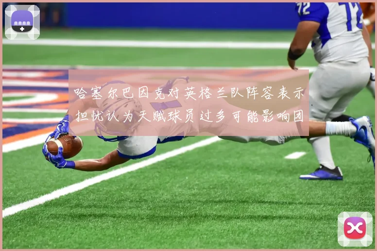 哈塞尔巴因克对英格兰队阵容表示担忧认为天赋球员过多可能影响团队合作