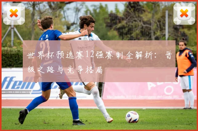 世界杯预选赛12强赛制全解析:晋级之路与竞争格局