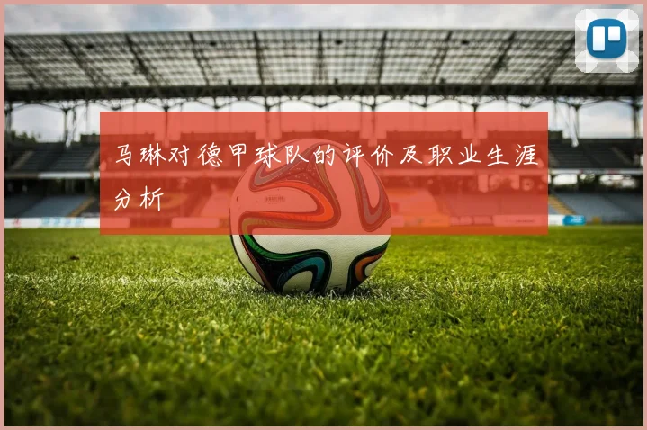 马琳对德甲球队的评价及职业生涯分析