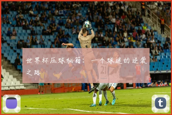 世界杯压球秘籍:一个球迷的逆袭之路
